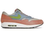 Nike Air Max 1 ‚Light Madder Root‘ DV3196-800  Wabasta store